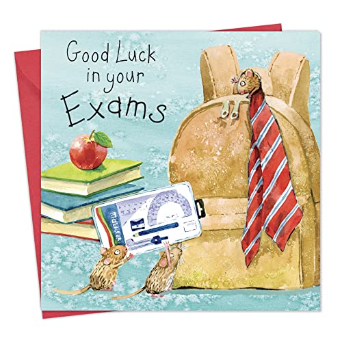 Twizler Good Luck in Your Exams Card - Good Luck