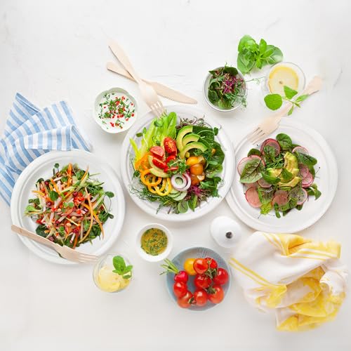 Image of Freshware Paper Plates - Disposable 10 inch Plate, 500-Pack, Biodegradable Sugarcane Dinner Plates - Heavy Duty Dinnerware for Hot Food - Microwave & Freezer Safe, Stackable Dinnerware