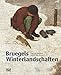 Produktbild Bruegels Winterlandschaften: Historiker und Kunsthistoriker im Dialog (Alte Kunst)