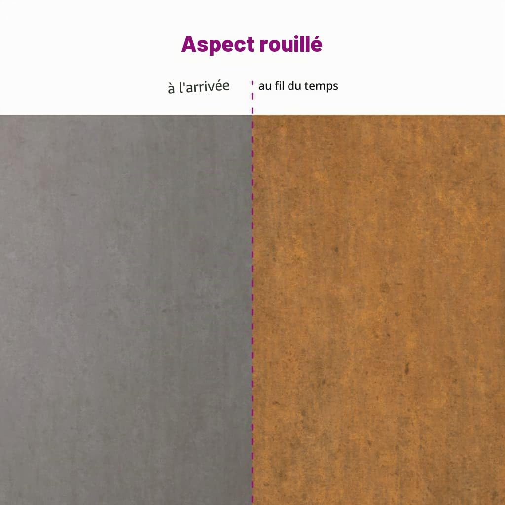 vidaXL Jardinières murales 2 pcs Rouillé Acier corten 53x10x17 cm