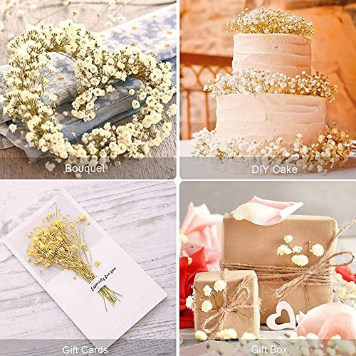 17 Inch Dried Flowers Baby's Breath Bouquet - 2000+ Ivory White Dry Flowers,Natural Gypsophila Branches For Home Decor, Wedding, Table Decor, Diy Wreath Floral, Dry Flowers Bulk For Vase #TOP5