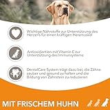 IAMS Senior Hundefutter trocken mit Huhn - Trockenfutter für ältere Hunde ab 7 Jahre, geeignet für große Hunde, 12 kg