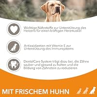 IAMS Senior Hundefutter trocken mit Huhn für große Hunde, 12 kg – Ansicht 4