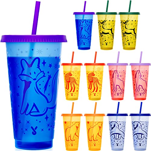 Meoky Plastic Cups With Lids And Straws - 12 Pack 24 Oz Color Changing Cups With Lids And Straws Bulk, Reusable Cups With Lids And Straws For Adults Kid Women Party, Cute Cold Cups For Iced Coffee #TOP27