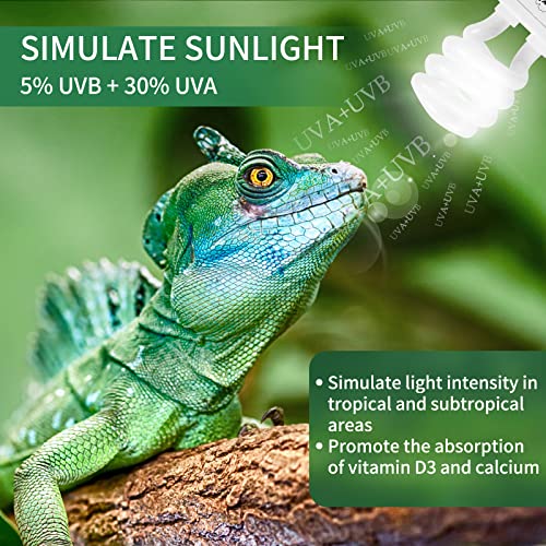 LUCKY HERP Lâmpada de réptil UVA UVB Light 5.0 13W Compact Fluorescente Tropical Terrarium