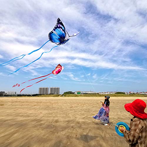 Butterfly Kite #TOP5