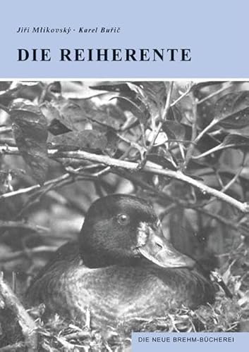 REIHERENTE 556 AYTHYA FULIGULA: Aythia fuligula (Die Neue Brehm-Bücherei: Zoologische, botanische und paläontologische Monografien)