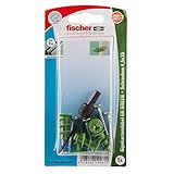 fischer