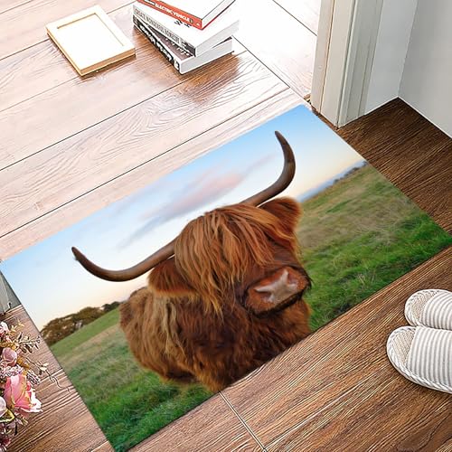 danxceh Alfombra Bañera Antideslizante,Alfombrilla Baño,Alfombra Ducha,Tapete Casa De Baño Absorbente,Ganado de Las Tierras Altas,40x60cm