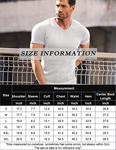 Coofandy Men's Muscle T Shirts Stretch Short Sleeve V Neck Bodybuilding Workout Tee Shirts White #TOP5