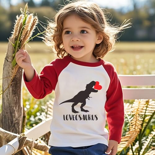 Boys Girls Valentines Shirt Toddler Love Heart Monster Truck Dinosaur Graphic Long Sleeve Raglan Little Kids Top 2-7T2