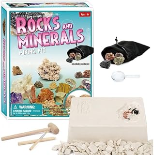 Rocks And Minerals Mining Kit - D7157