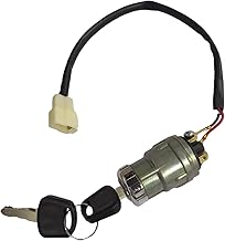 JOEEGO Ignition Starter Switch Assembly Fits for Evolution Golf Carts, Replaces OEM# 2.04.0028