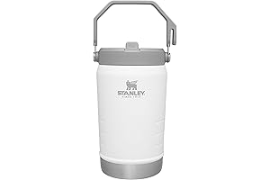 Stanley water bottle 40 oz