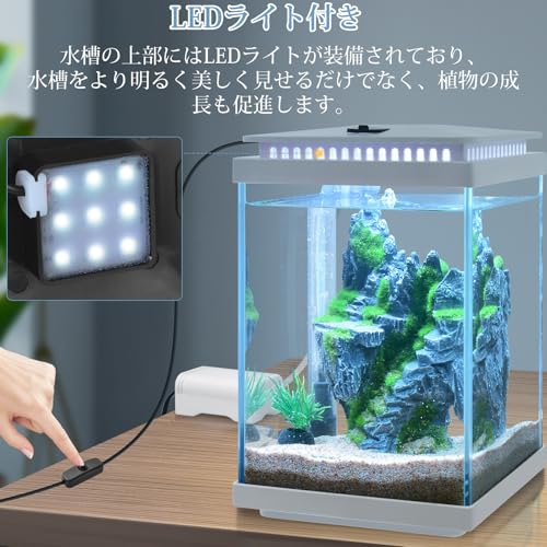 FEDOUR 5L小型ガラス水槽 LEDライト/ぶくぶく水キレイセット付き の商品画像 3