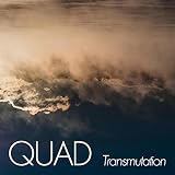 quadface tools sketchup download  Swamp Face