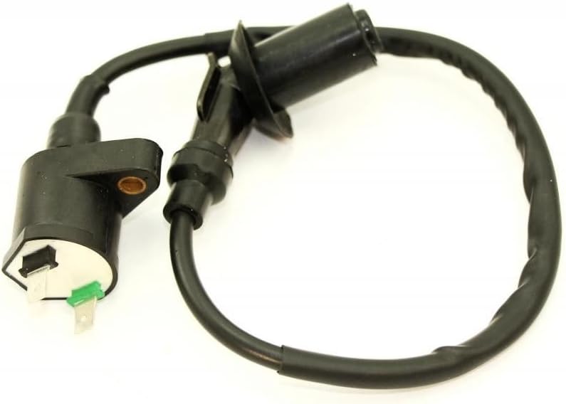 Ignition Coil For 2009 Can Am DS 70 COIL Can-AM MINI V30510CJF040LL