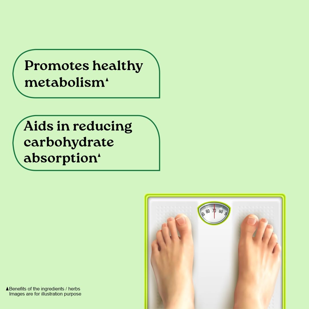 A TATA Product - Organic India Weight Balance - 60 Veg Capsules, Naturally Promotes Healthy Metabolism & Reduces Fatigue, Contains Antioxidants For Better Immunity, GMP & NPOP Certified Organic product image 3