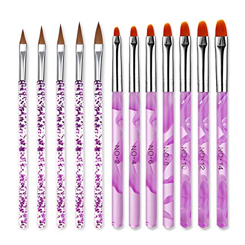DANNEASY 12Pcs UV Gel Acrylic Nail Brush Set Nail Carving Pen Glitter Cleaning Polish Dust Painting Flower Nail Art Salon Manicure Tools