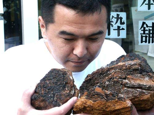 Amazon.co.jp: カバノアナタケ茶 3ミリカット以下 (粉砕) 900g(450g×2