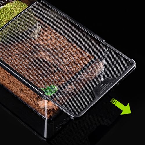 Reptil Fütterungsbox, Reptilien Errarium Fütterungsbox, Terrarium, Allzweckbehälter für Reptilien, Amphibien, Mäuse und Insekten, Mittel Flach, 32x22x10cm