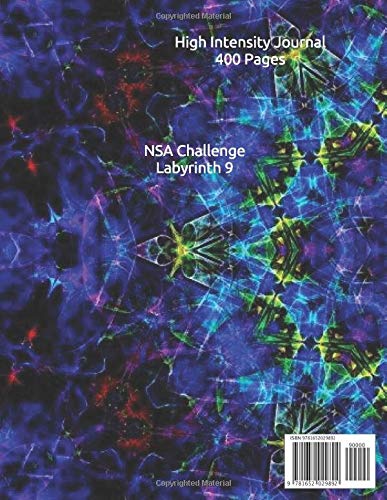 NSA Challenge: Labyrinth 9      Paperback – December 28, 2019