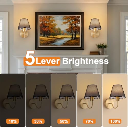 Image of ADISUN Battery Operated Wall Sconce Set of 2, Gold Wall Lamps Rechargeable Bulbs for Living Room, Black Rattan Shade, Wireless Wall Lights for Bedroom Living Room Hallway Kitchen(2 Bulbs Included)