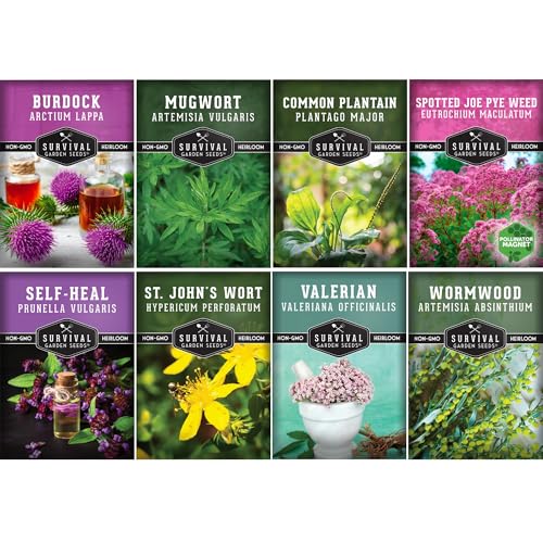 Advanced Medicinal Herb Seeds Collection - Variety Pack for Planting with Plantain, Joe-Pye Weed, St John’s Wort, Valerian, Mugwort - Heirloom Apothecary Herbalist Seed Bundle - Survival Garden Seeds