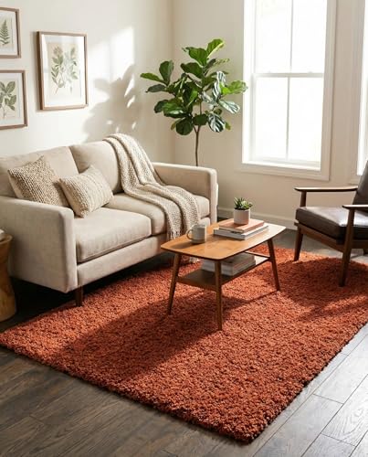 Rugs.com - Solid Shag Rug – 4' 1 x 6'