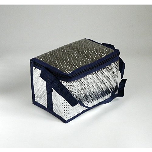 保温 保冷バッグ ボックスタイプ 21×14×高さ14cm