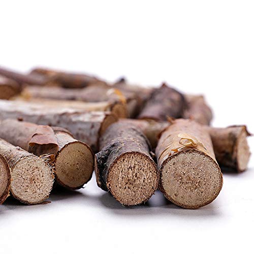 Byher Craft Sticks, Mini Wood Log for Rustic Home Decor - Farmhouse Centerpiece Decor Twigs (Craft Sticks-)