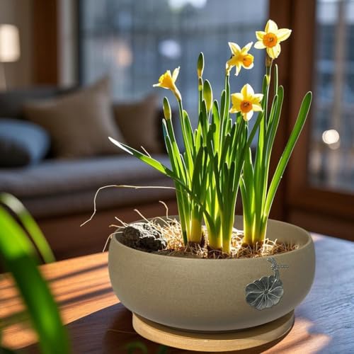 50% Off MUZHI Ceramic Hydroponic Lotus Planter Pot with Bamboo Tray - Image 6