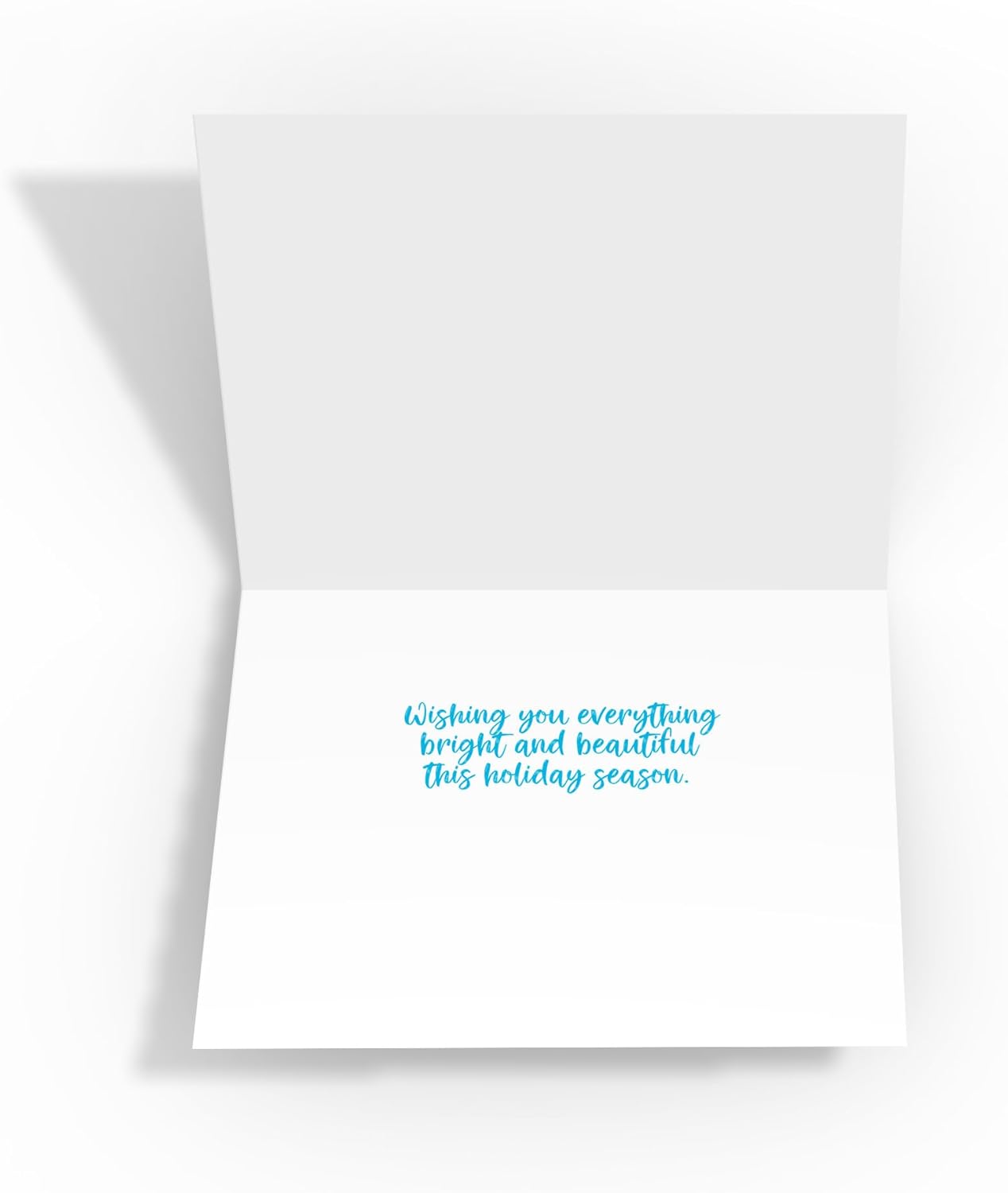Stonehouse Collection | Customized Ocean Delivery Christmas Cards | Personalizatized Dolphin Helping Santa Christmas Cards | 24 Boxed Cards with Envelopes (Personalized)