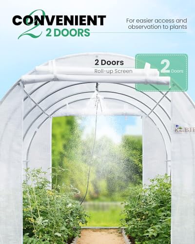 image for KING BIRD Premium 15x6.6x6.6FT Greenhouse for Outdoors, Large Walk-in 