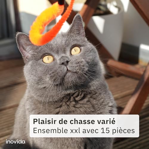 Set de Jouets pour Chat : XL 15 Pièces avec Herbe à Chat – Jouet Interactif et Vegan avec Plumes – Jouets Colorés avec Menthe, Souris – Kit de Jouets pour Chaton – Image 3