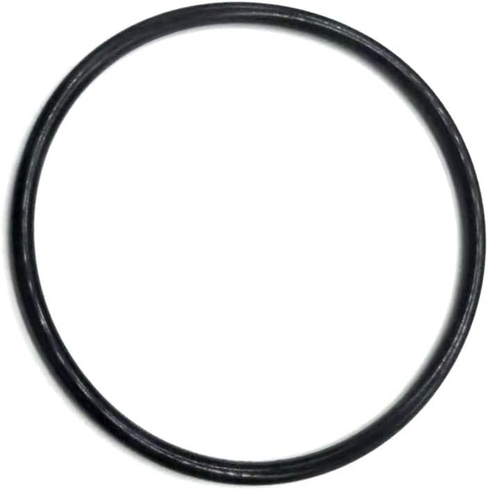 R172009 Chlorine Feeder o Ring Replaces Pool/Spa Filter suitable for Pentair Rainbow Models 300/320 O-283 2/packs