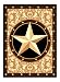 Furnish my Place Texas Western Star Rustic Cowboy Decor Area Rug, 40" L, Gold/Brown/Black