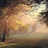  Awakening Earth in Dawn\'s Light