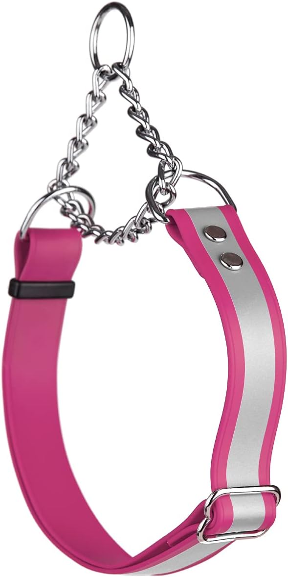 Dogline Martingale Waterproof BioThane Dog Collar – Premium Safety Adjustable Dog Collar with Reflective Strip – Dog Collar Herm…