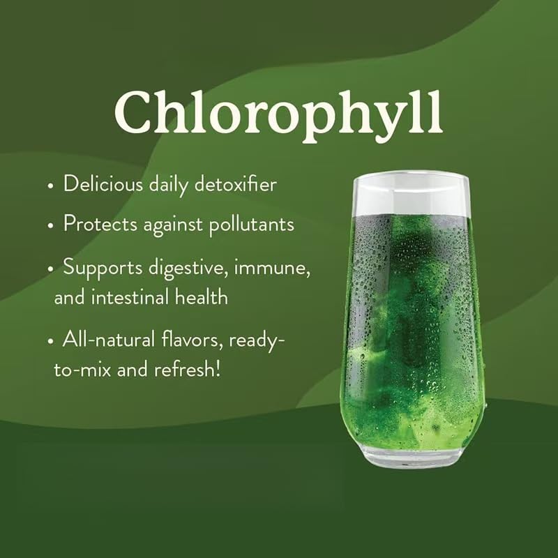 Packs of sticks of chlorophylle,suitable for men and women | Boostez votre détox et améliorez la santé intestinale dans des packs de