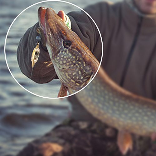 【オルルド釣具】 LED内蔵 光るジグスプーン 10g 4色5個セット ルアーセット 水にぬれると自動点灯 集魚灯やルアーのヘッドとしても使用可 水中LED 新しい集魚スプーン 夜釣り(ナイトフィッシング)でのイカ釣り・タチウオ狙い等に最適(ブルー・ホワイト・ グリーン・レッド) qb700003a01n0 6枚目