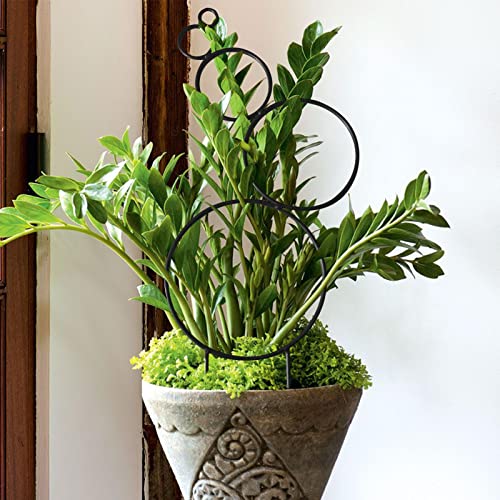 Small Trellis For Potted Plants - Trellis For Climbing Plants Indoor Mini Trellis For Potted Plant | Garden Trellis For Roses, Houseplants, Tomatoes, Vegetables, Fruit Vines Adj #TOP1