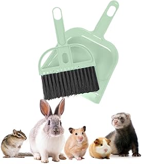 Mini Broom and Dustpan Set - Compact Cleaning Kit for Home, Car, Camping, Small Spaces, Pet Cleanup, and Travel - Durable Small Broom and Dustpan Set Mini - Mint Green Broom