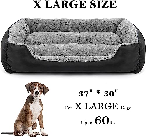 DogBaby-Dog-Bed-Dog-Beds-for-Large-Dogs-Rectangle-Washable-Pet-Bed-Comfortable-and-Breathable-Large-Dog-Bed-X-Large3730