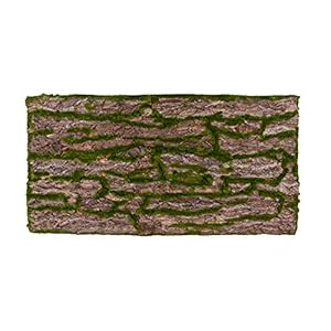 Repiterra Naturlook 3D Terrarienrückwand 116x58cm