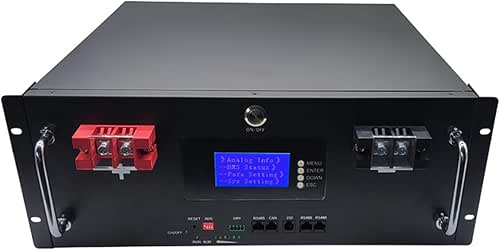 48 Volt LiFePO4 Lithium Ion Batteries 48V 16S 50AH 100Ah