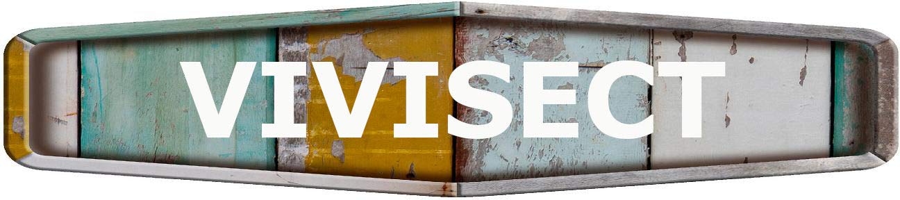 VIVISECT Diamond Shaped Weathered Painted Wood Look Decal Bumper Sticker for use on Any Smooth Surface