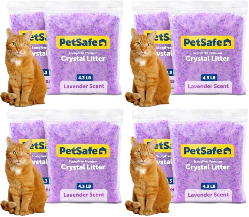 Image of PetSafe ScoopFree Premium Crystal Litter, Lavender Scent, 4.3Lb Bag, Litter (Pack of 8)