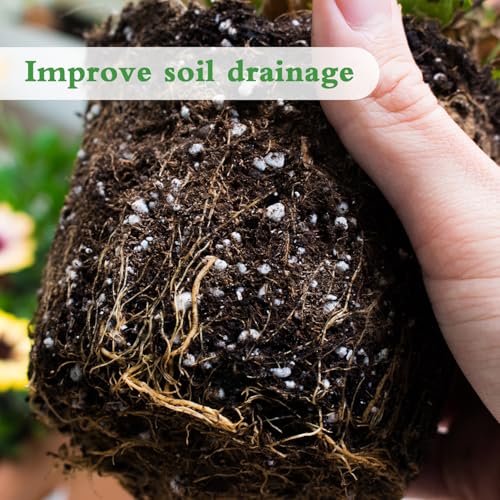 Perlite pour jardinage horticole et rempotage de sol HAINANSTRY - 5