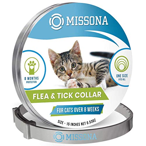 LYL Etiquetas de identificación de Mascotas de Acero Inoxidable Etiquetas de Perro Personalizadas Personalizadas Grabado Frontal/Posterior para Gato y Perro con Diferentes Formas